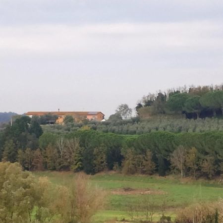 Agriturismo L'Isola Crespina Εξωτερικό φωτογραφία