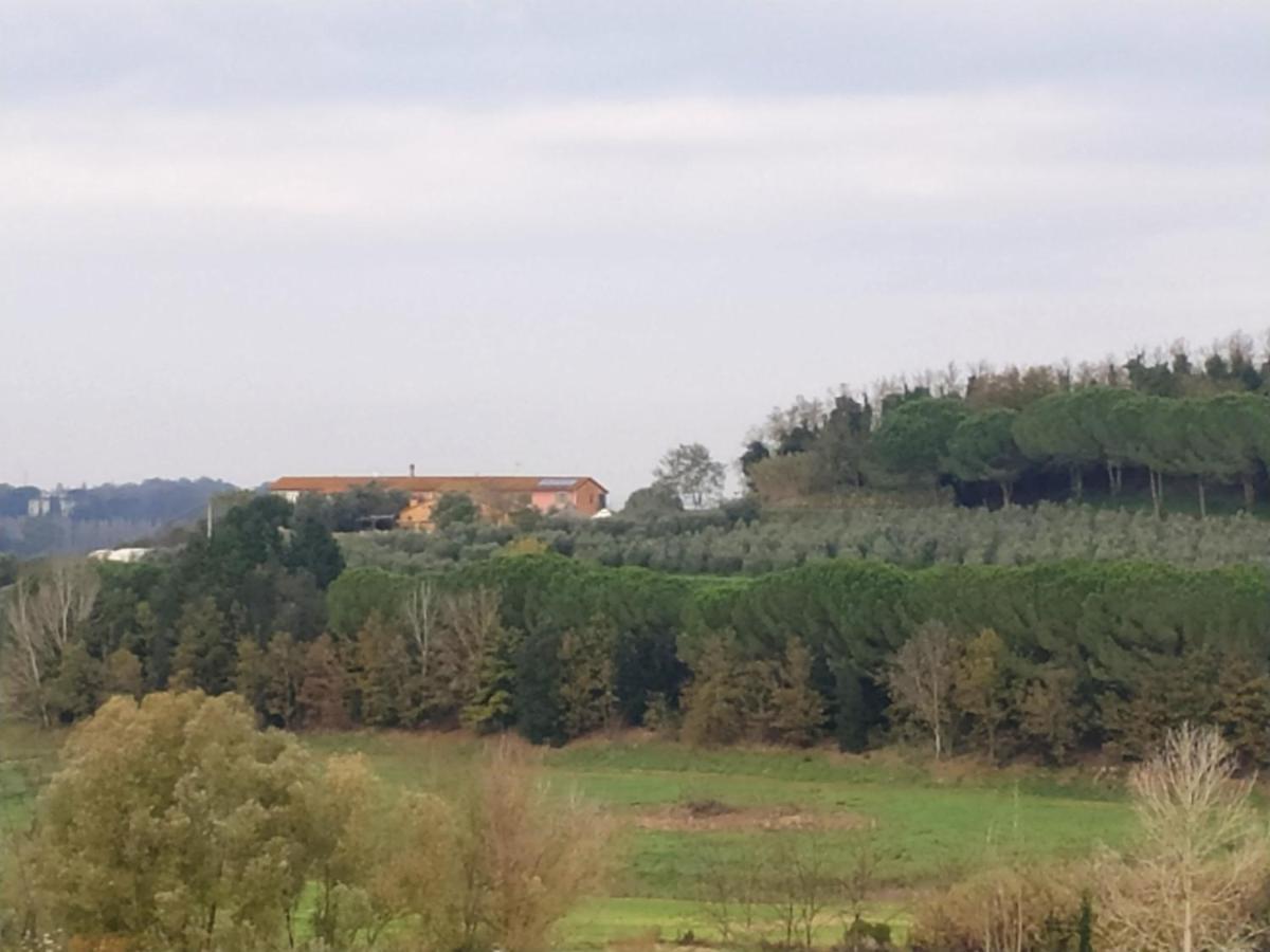 Agriturismo L'Isola Crespina Εξωτερικό φωτογραφία