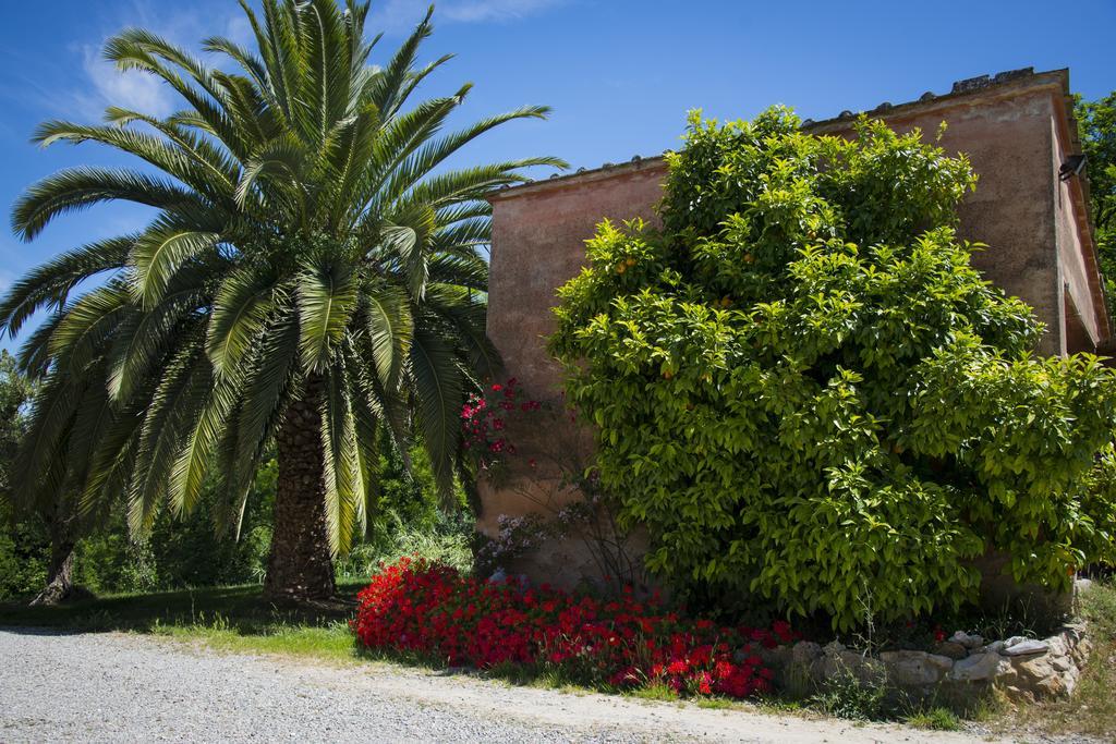 Agriturismo L'Isola Crespina Δωμάτιο φωτογραφία