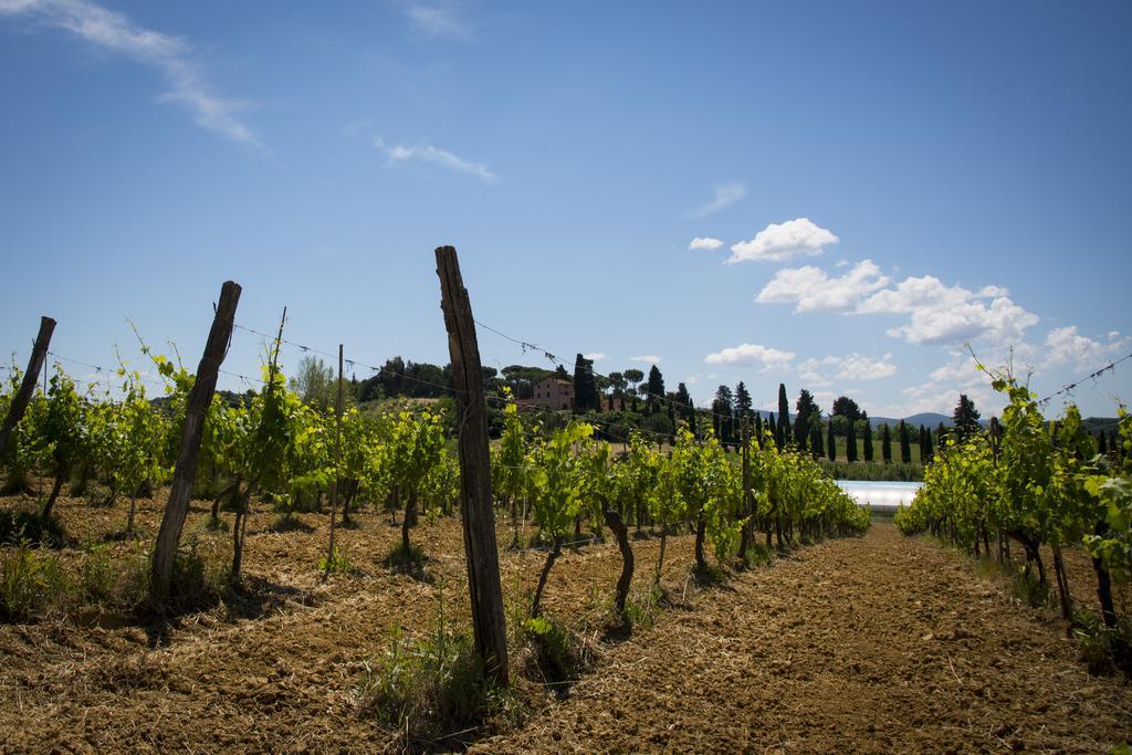 Agriturismo L'Isola Crespina Εξωτερικό φωτογραφία
