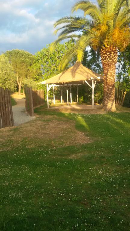 Agriturismo L'Isola Crespina Εξωτερικό φωτογραφία