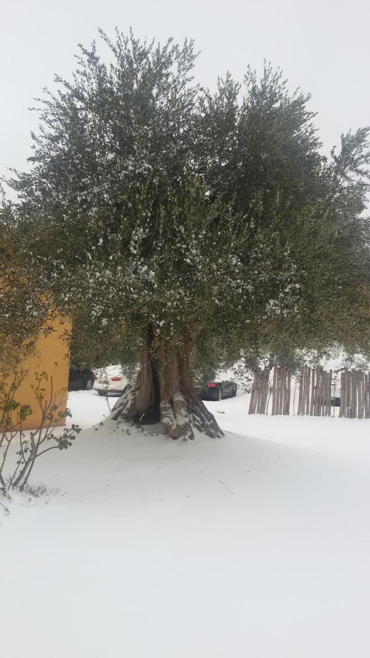 Agriturismo L'Isola Crespina Εξωτερικό φωτογραφία